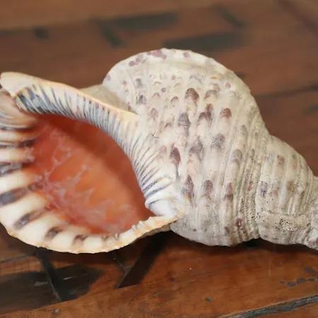 Artemis Aparthotel 3*