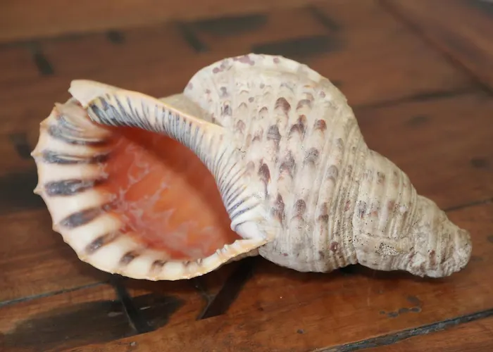 Artemis Aparthotel 3*