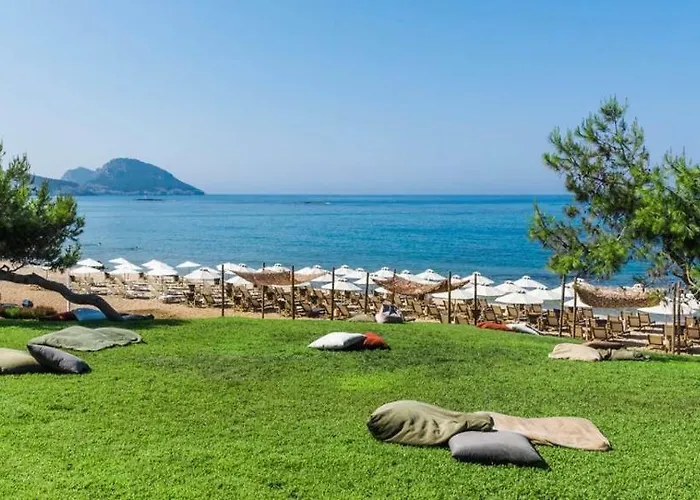 Appart hôtel Artemis